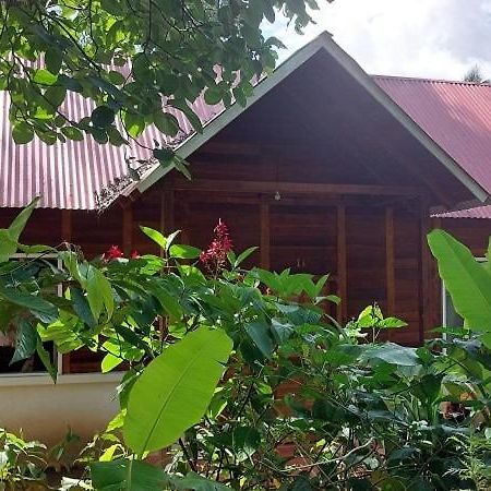 Cabanas Yax-Ha Arroyo Agua Azul Exterior foto